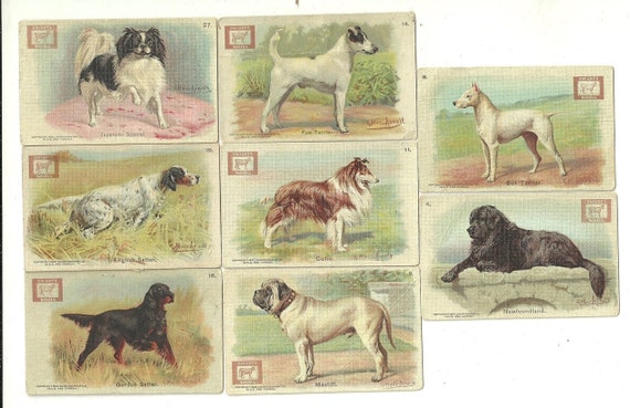 Victorian Dog Art - Dwight’s Cow Soda Cards - 1904 Lithograph Premium Cards - Gustav Muss Arnolt - Vintage Cigarette cards
