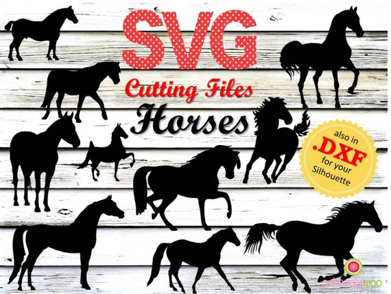 Download Horse SVG Horses SVG Cutting File Horses SVG Horse Italien
