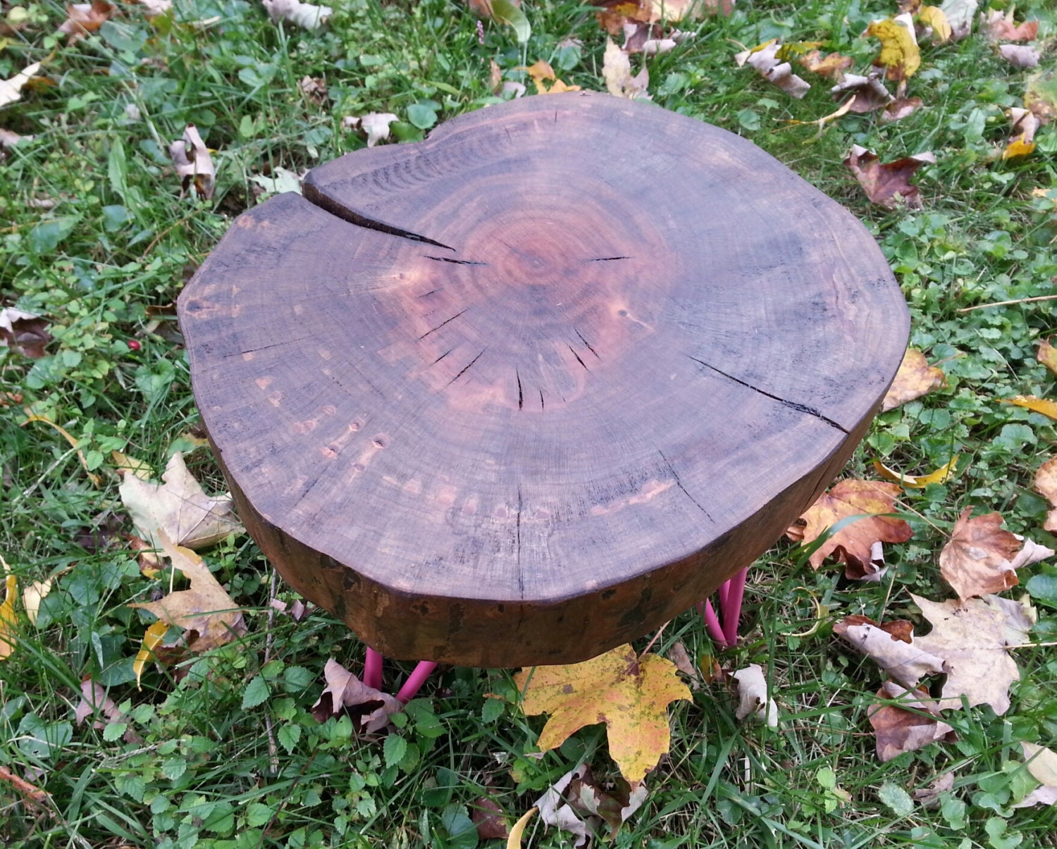 RESERVED For CD Live Edge Stool Log Plant by KentuckyLiveEdge