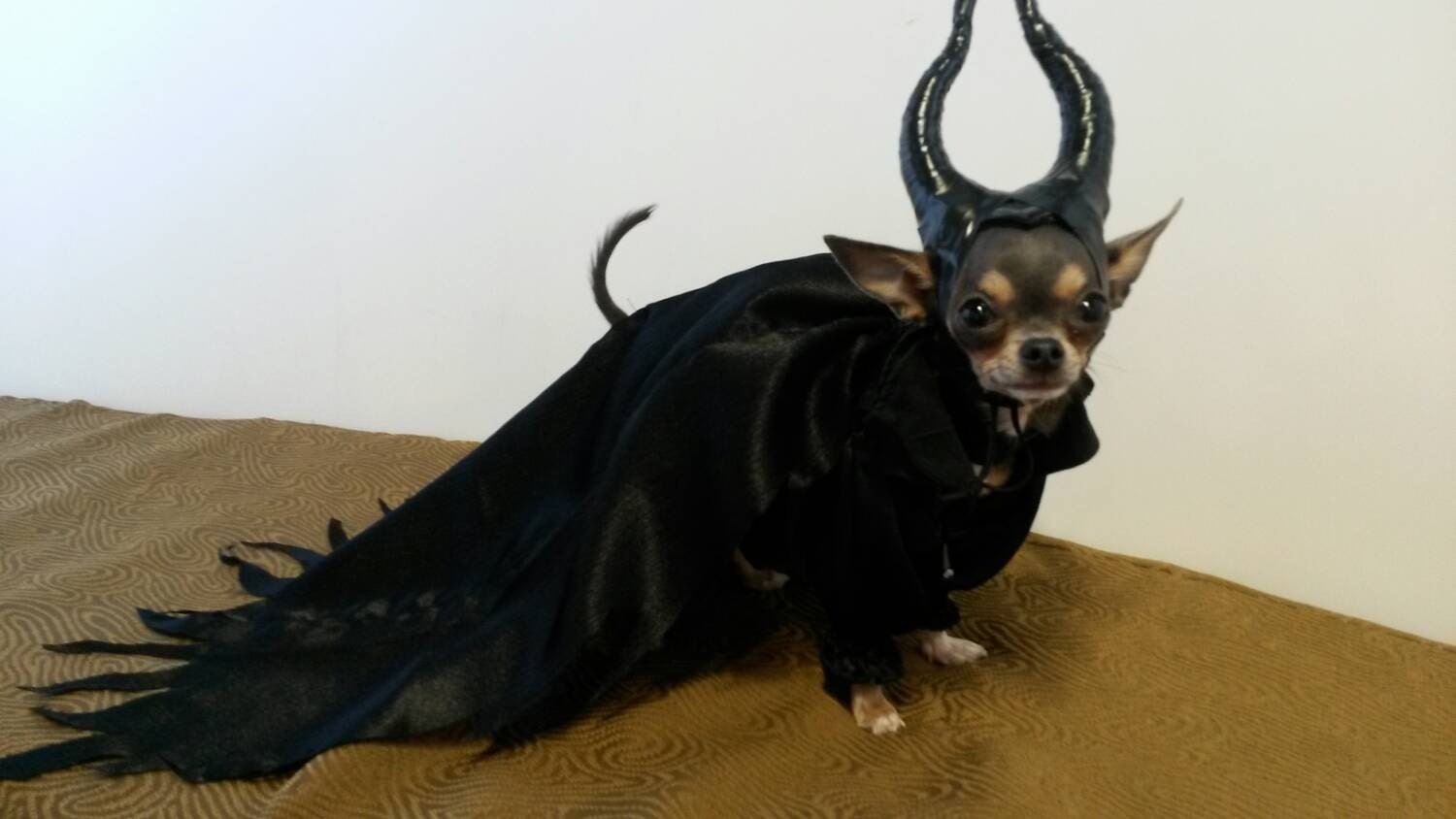 Maleficent Dog Costume