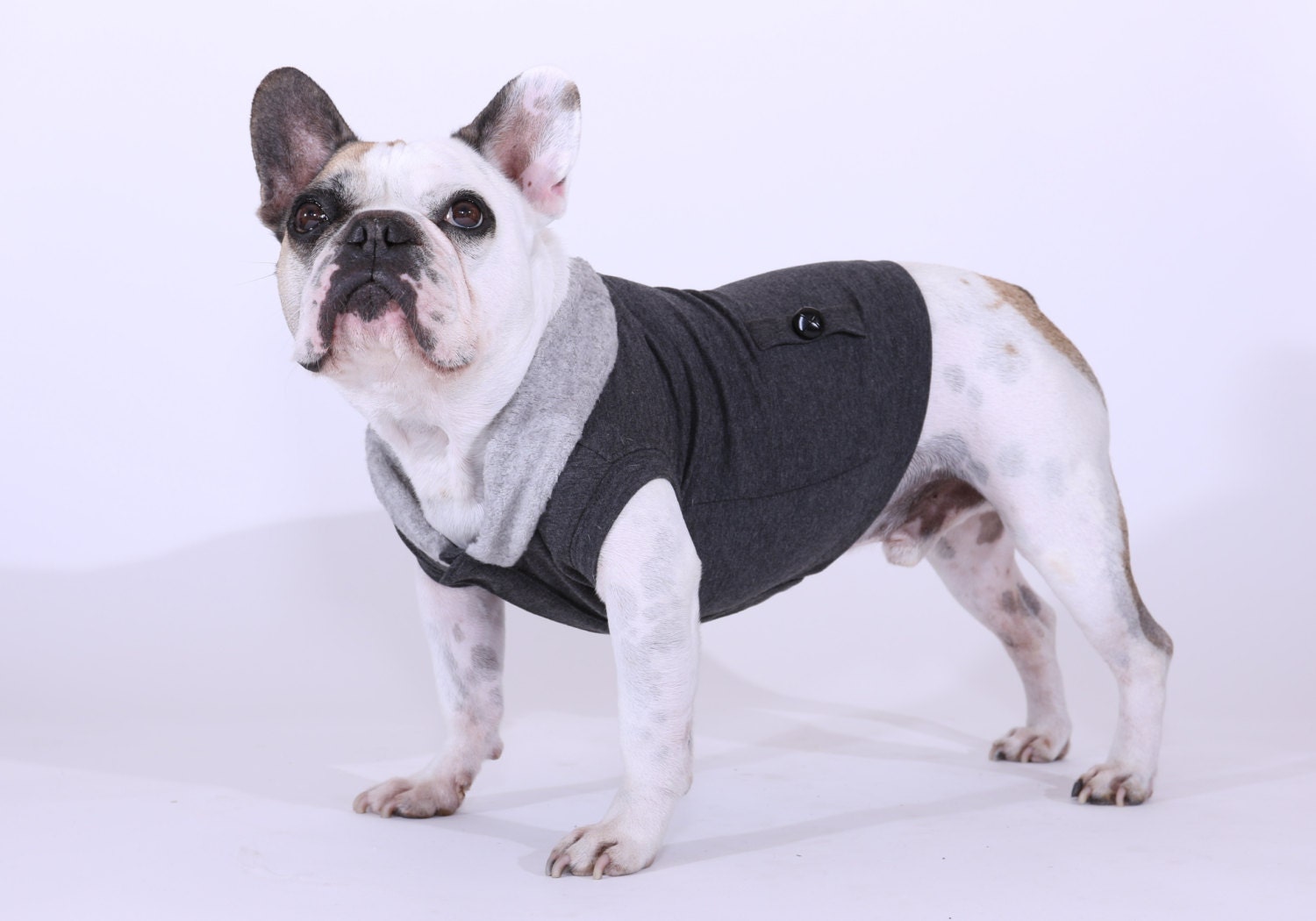REG/LARGE French Bulldog Dog Vest: Sherpa Collared Frankie