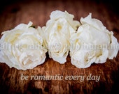 Three Dried Roses Instant Digital Download Fine Art Photography Romantic Bedroom Bathroom Decor White "be romantic every day" trending Quote