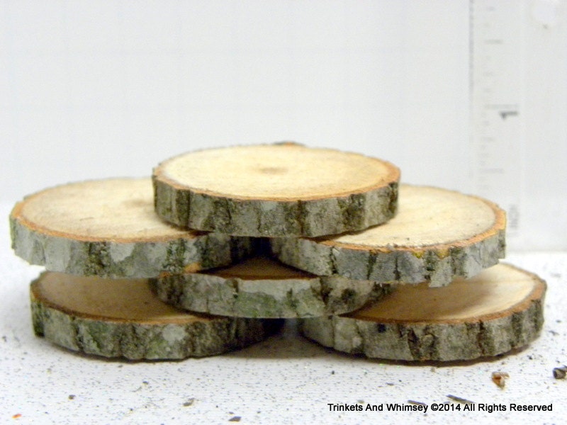 Wood Pieces Miniature Tree Slices Miniature by TrinketsandWhimsey