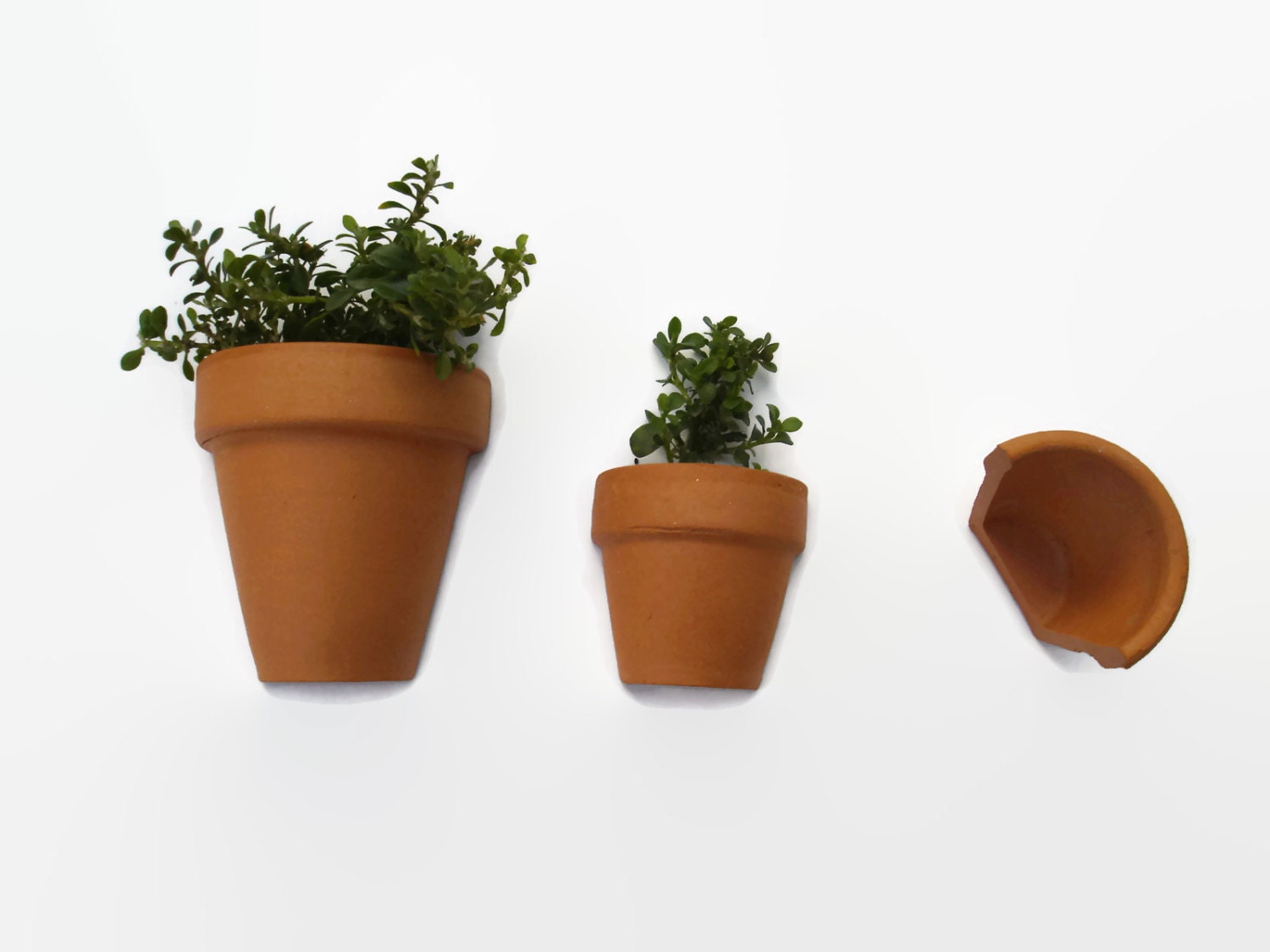 Miniature Clay Pots Set x 3 Terracotta Clay Half Pots