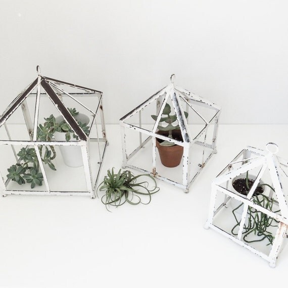 classic metal terrarium frames set of three by ohalbatross