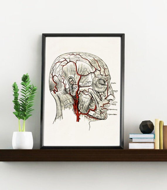 top 28 decor veins medical diagram eye upcycle recycle repurpose blood veins tribal elk top 28 decor veins medical diagram eye upcycle recycle repurpose blood veins tribal elk