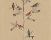 Whimsical bird art, 5x7 art print, bird drawing, forest wall decor, bird illustration