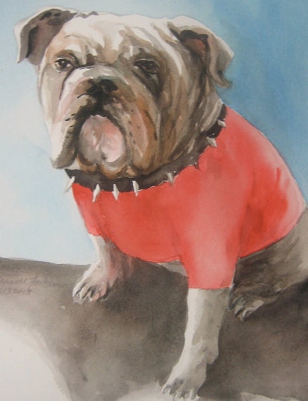 Georgia Bulldog original watercolor painting. UGA Bull Dawg