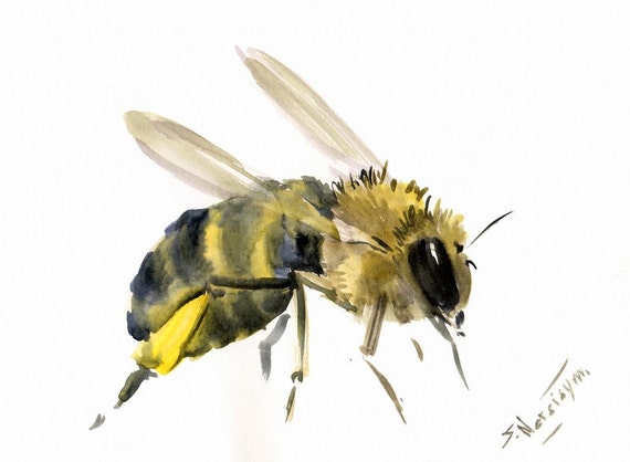 Honey Bee 12 X 9 in Original watercolor painting bee art