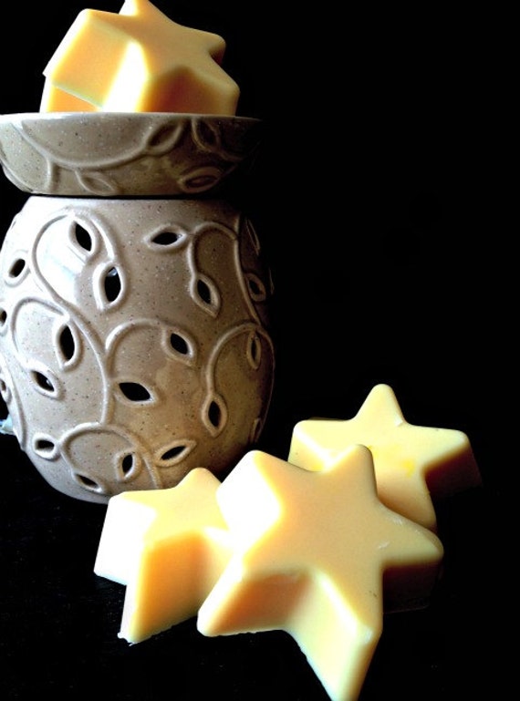 Star Tart Soy Wax Melt