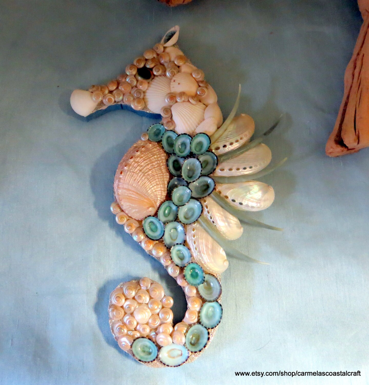 Sea shell sea horse wall art decor_Abalone and limpet shell