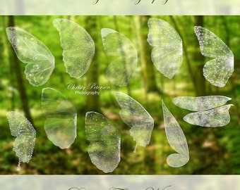 11 Fairy Wings PNG OVERLAYS SET 1, including a Tinker Bell wing, Butterfly wings and a Dragonfly wing