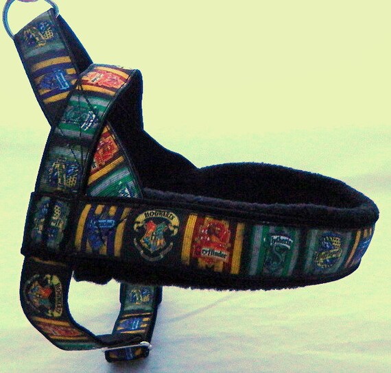 Norway harness for Harry Potter fan. For dog IG sighthounds