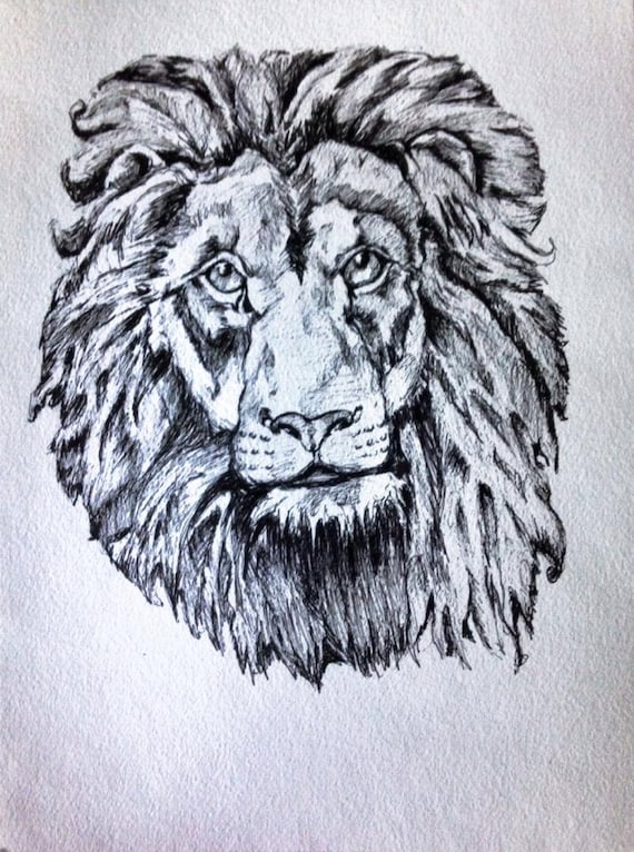 Lion Drawing Lion Mane Drawing Animal Art by LaurenPumphreyART