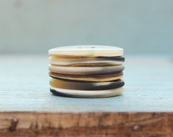 6 pcs. Horn Buttons