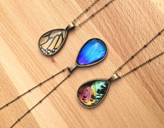 Nature jewelry Real Butterfly necklace Real butterfly jewelry Monarch butterfly necklace Taxidermy butterfly Blue Morpho Sunset moth bug