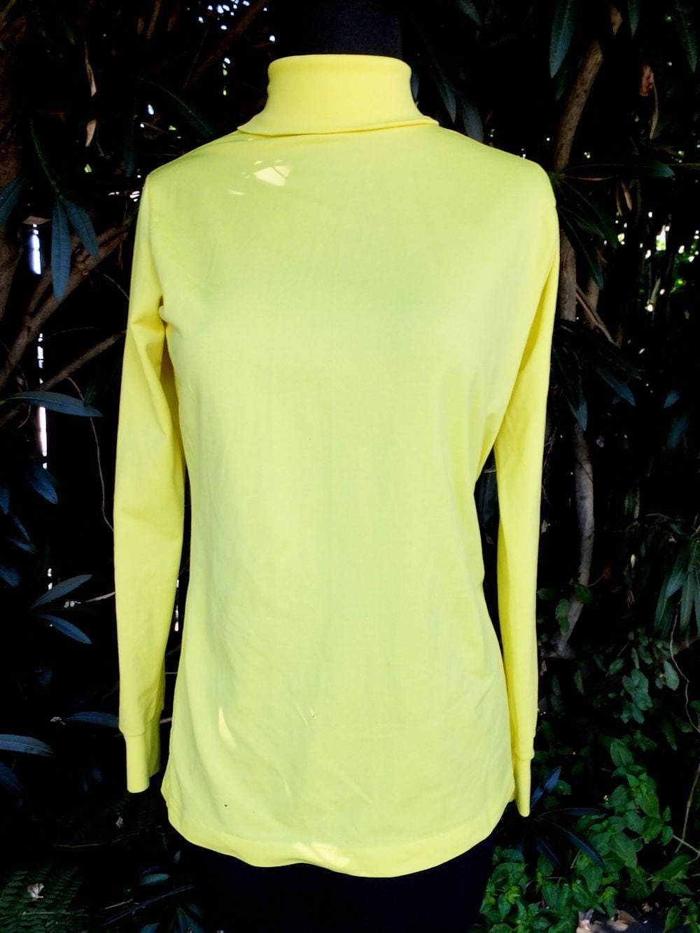 skyr turtleneck women's