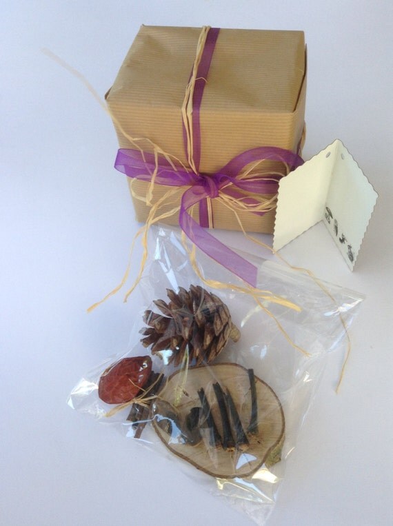 Fun crafts Diy projects Eco friendly Organic Diy by pineconeinabox