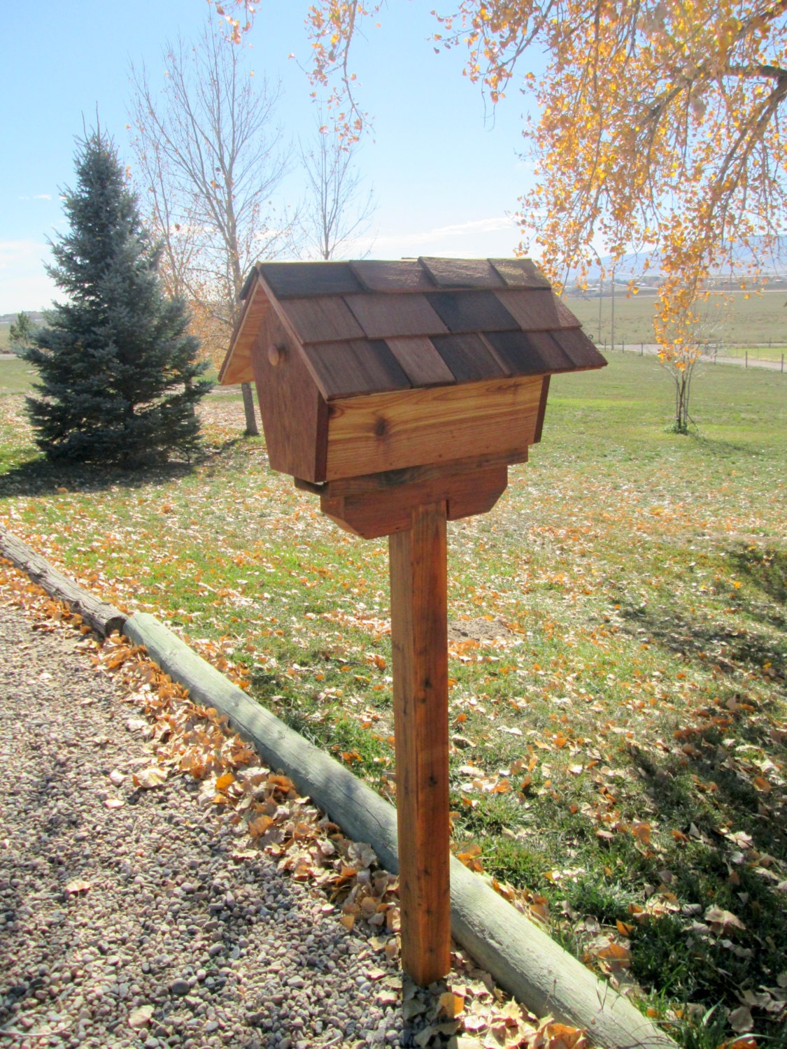 Cedar Mailbox Birdhouse Design