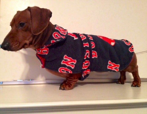 red sox dog jacket