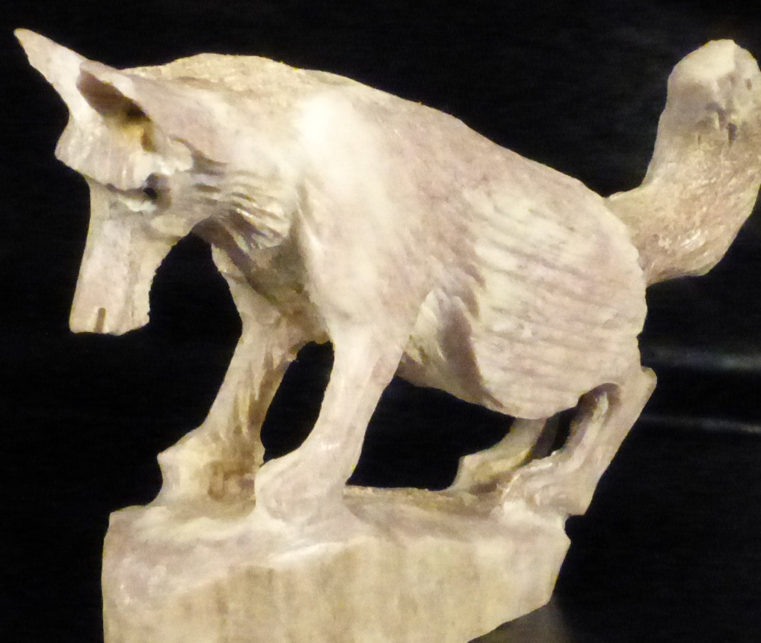 white WOLF Zuni Fetish Stone Carving Native by zuniheartline