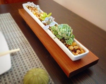 Zen minimalist elegant ceramic succulent planter/cedar wood stand/succulents/succulent arrangement/planter/indoor planter/planter with stand