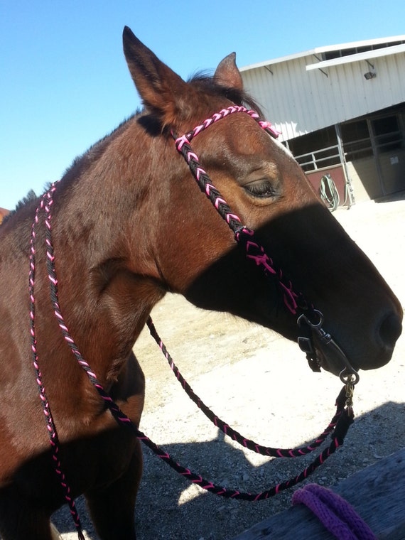 Horse Tack Paracord Bridle/ Split Reins Standard horse size