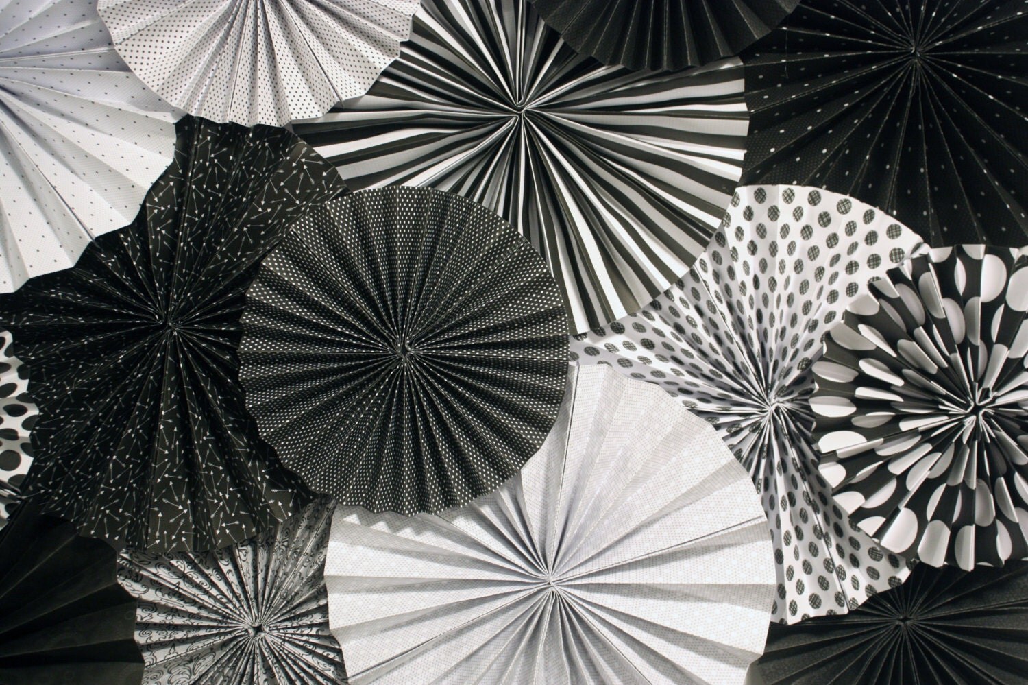 Black and White Paper Fan Backdrop Set of 15 Fans