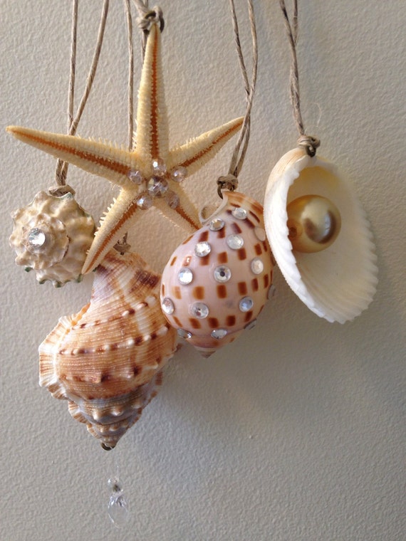 Shell ornaments set of 5 shell ornaments by MaviSellsSeashells