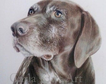 Custom Pet Portrait, dog portrait 11 x 14 cat dog horse memorial, best etsy shop, top etsy seller best selling item