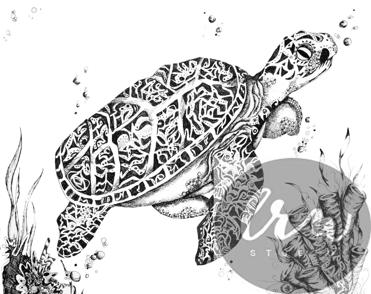 Sea Turtle Art Print Pen And Ink Drawing Sea Life Art Ocean