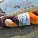 Fantastical Creatures Part 2 - Superwash Merino Worsted - Phoenix Colorway