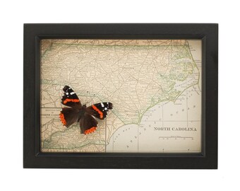 Old Framed Map of North Carolina With Native Butterfly
