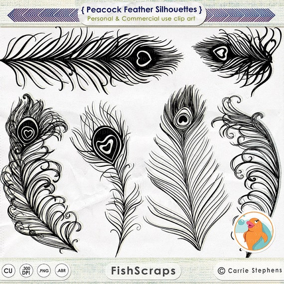 Peacock Feather Clip Art, Feather Silhouettes, Peacock Wedding Invitation Graphics, Photoshop Brush + PNG Digital Stamps, Bird Il_570xn