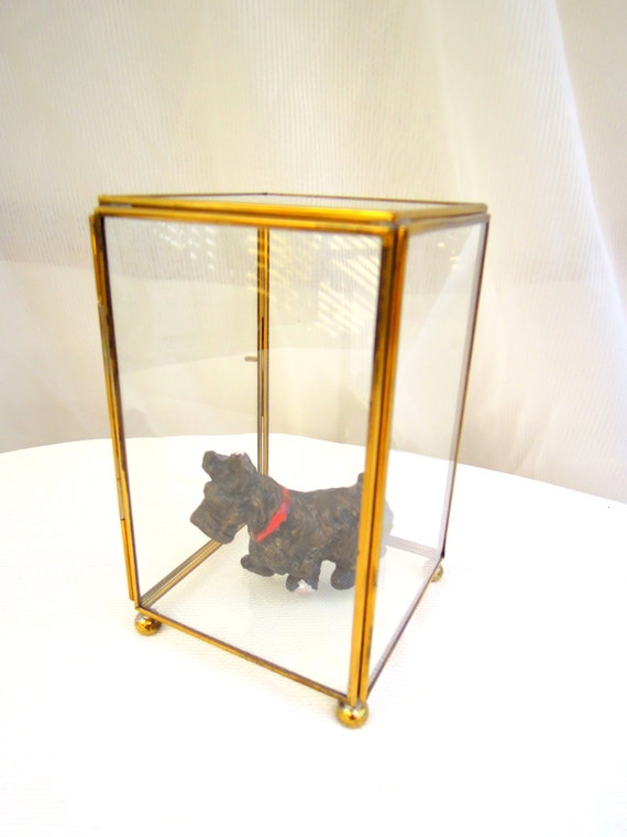 vintage brass/glass display box/case.hinged door.tessiemay