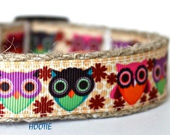 Whimsical Owl Dog Collar, Harvest Dog Collar, Fall Dog Collar, Pet Collar