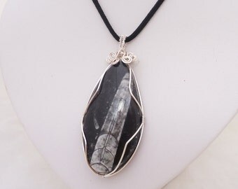Fossil Pendant, Fossil Wire Wrapped Pendant, Fossil Jewellery, Tear Drop Pendant, UK Seller