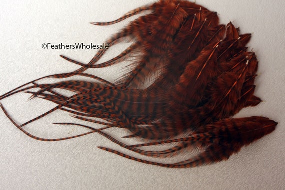 Fly Tying: Natural Feathers Hackle at M