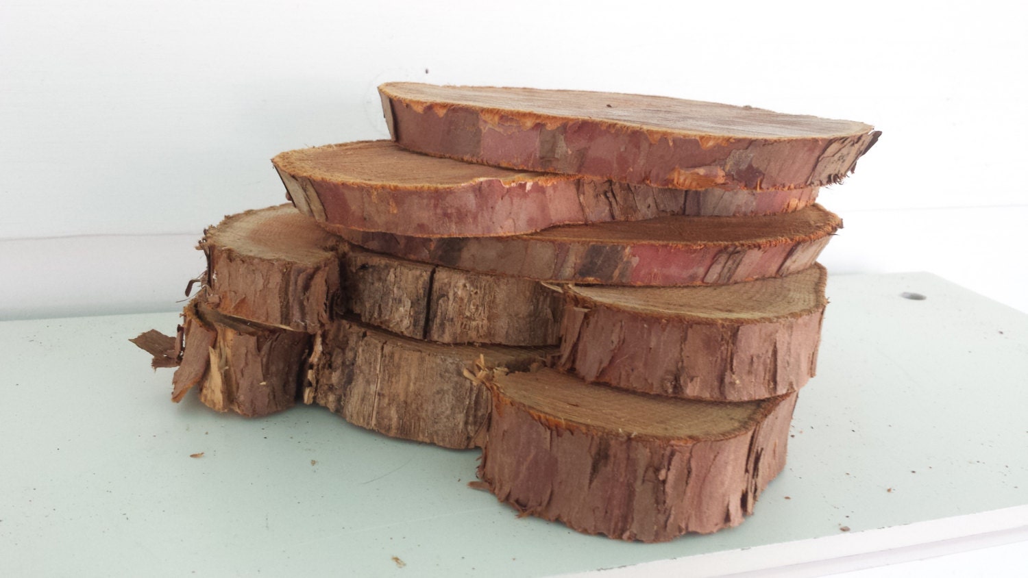 5 Large Yew Wood Slices Rustic Wood Pieces Rough by rachaelsscraps