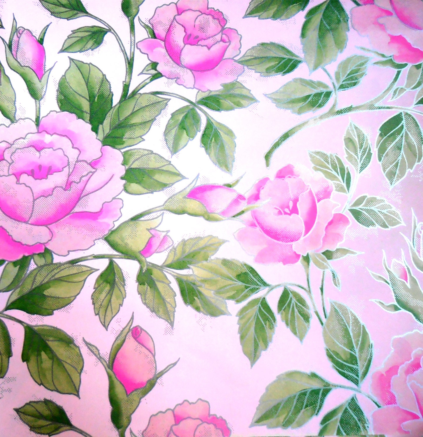 Essay on rose flower picture