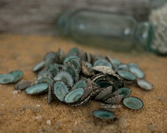 Beach Decor Seashells - Turquoise Sea Shells 20 pcs - Small Limpet Shells for Nautical Decor, Beach Weddings or Crafts