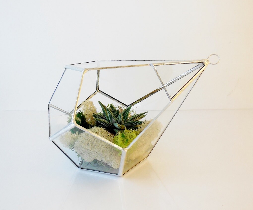 Terrarium Glass Terrarium Teardrop Large Hanging Terrarium