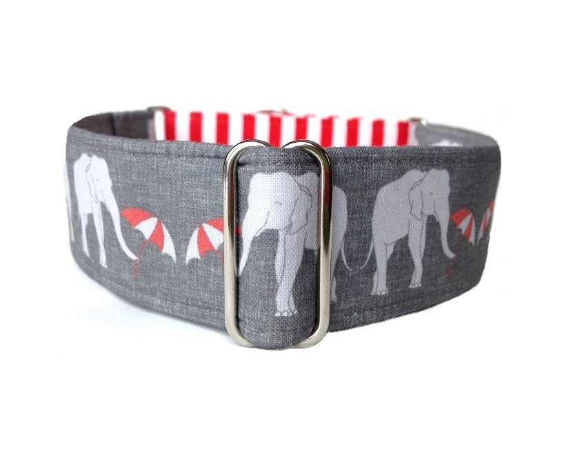 Umbrellas for Elephants Dog Collar Adjustable Martingale or