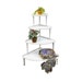 Vintage Country Cottage Garden Porch Plant Stand Etagere Antique Victorian Farmhouse Primitive Bench Demilune Step Shelves Flower Stand