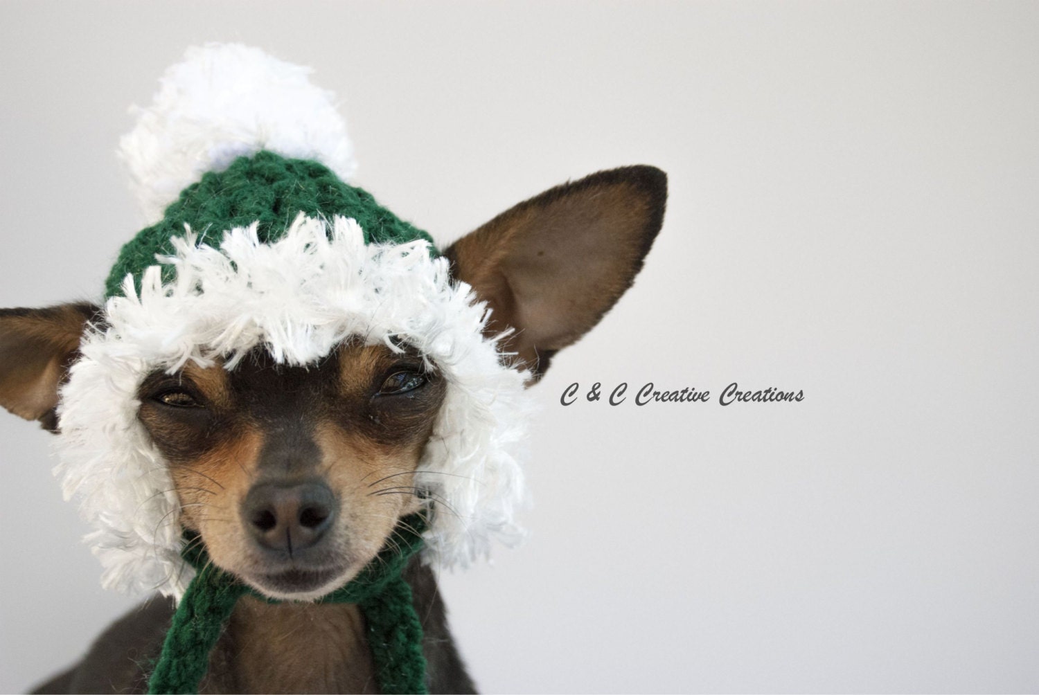 Christmas Dog Hat Green Cat Hat Pet Hat by CCCreativeCreations