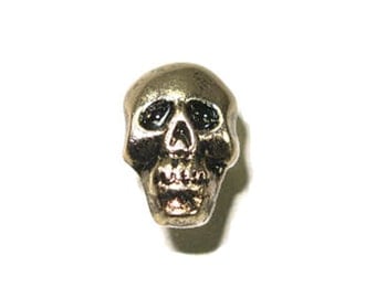 Mini Skull Splashback Concho