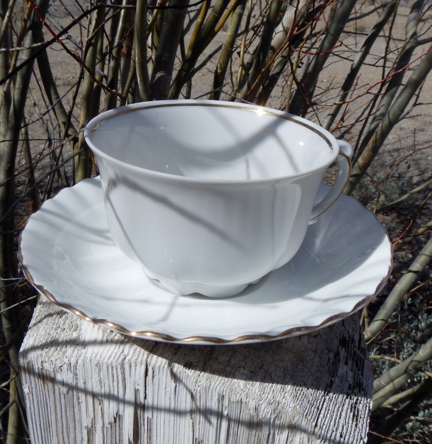 Tea Cup & Saucer