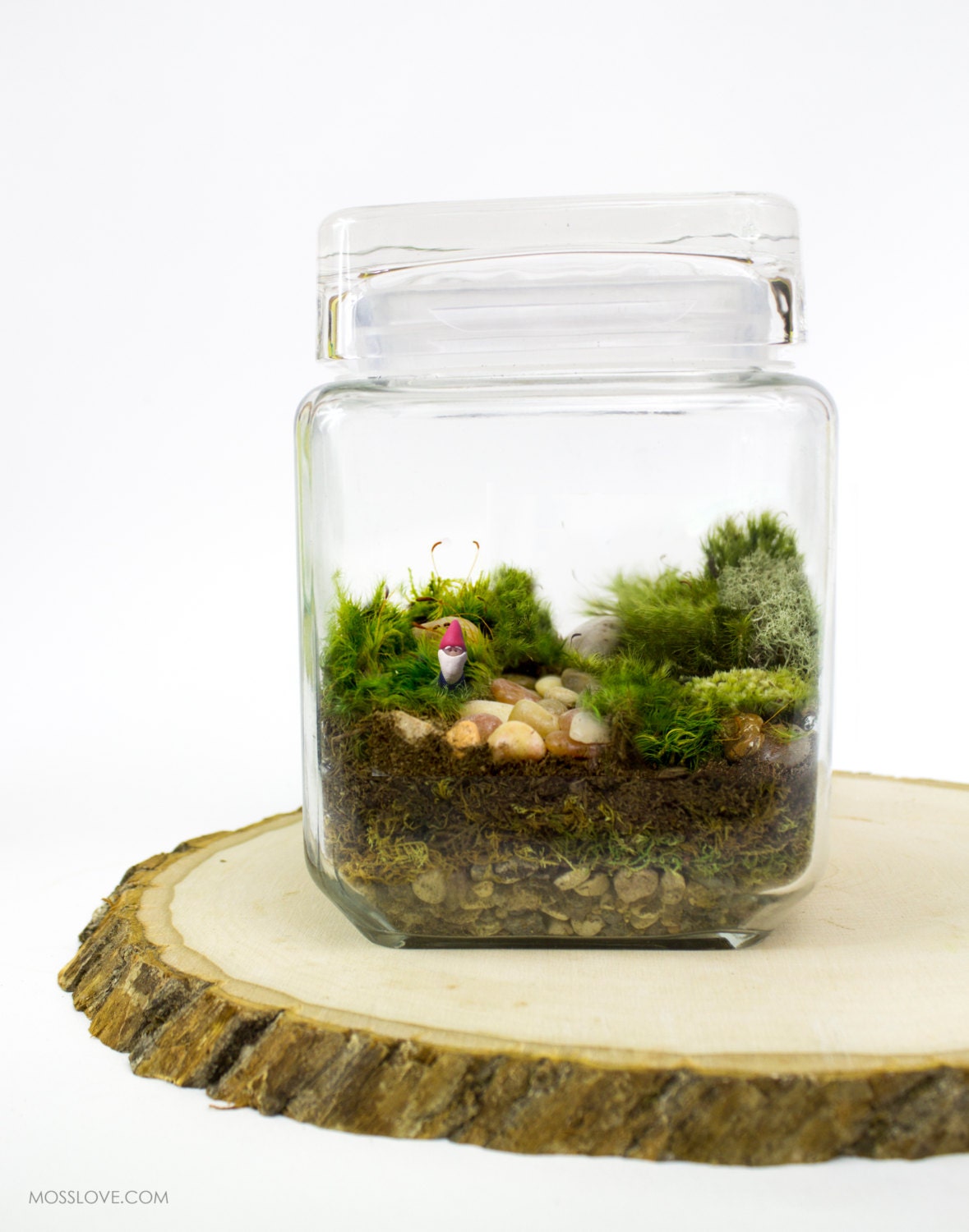 Moss Terrarium // Gnome Sweet Gnome // by MossLoveTerrariums