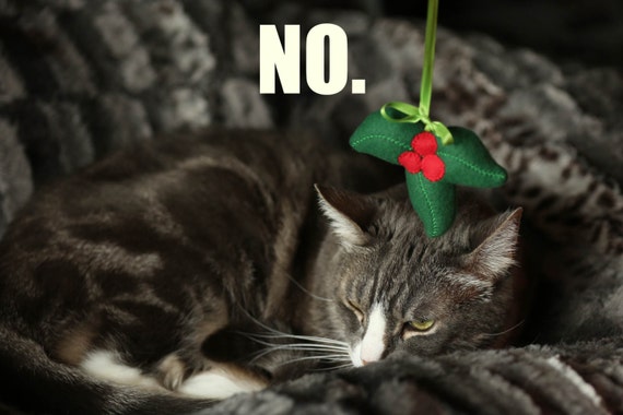mistletoe cat plush