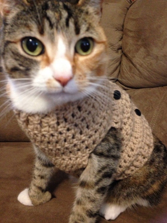 Items similar to Button-up Cat Sweater, Handmade crochet on Etsy